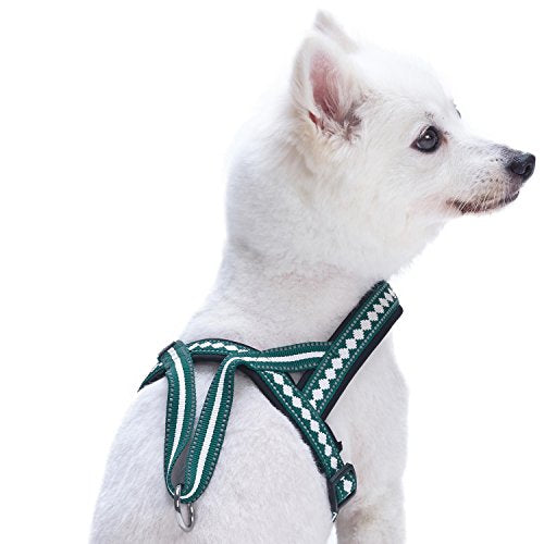 Blueberry Pet 6 Colors Soft & Comfy Jacquard Padded Dog Harness, Chest Girth 21.5" - 27.5", Teal Blue, S/M, Reflective Adj...