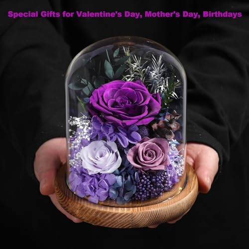 lovenfold Flowers for Delivery Preserved Rose Gifts for Women,Long-Lasting Forever Flowers in Glass Dome, Birthday Gifts f...