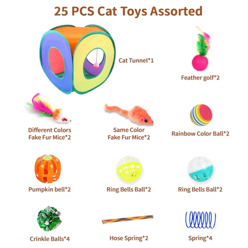 iCAGY Cat Toys, 25-Pack Toy Pack for Indoor Kittens, Kitten Toys Bulk Set - Interactive Kitty Toys with Cube, Crinkle Ball...