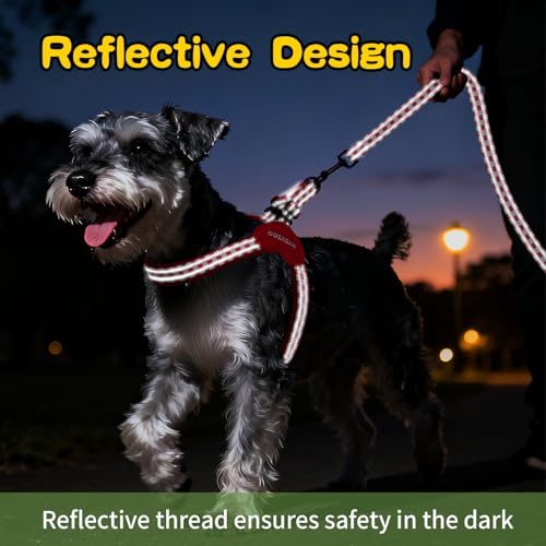 Kazazoo No Pull Small Dog Harness and Leash Set, Adjustable Puppy Soft Vest Harness with Breathable Mesh Padded, Reflectiv...