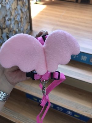 Hypeety Rabbit Harness and Leash Set Escape Proof - Adjustable Bunny Vest Harness for Rabbits with Cute Angel Wings Design...