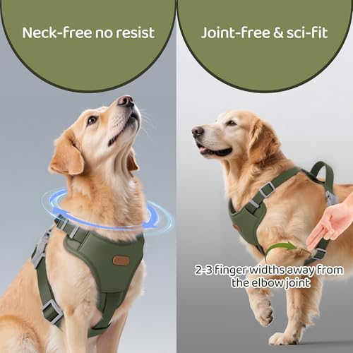 Xlife No-Pull Dog Harness for Medium Dogs - Easy On/Off Adjustable Vest with 3D Air Cushion, Safety Buckle & No-Choke D Ri...