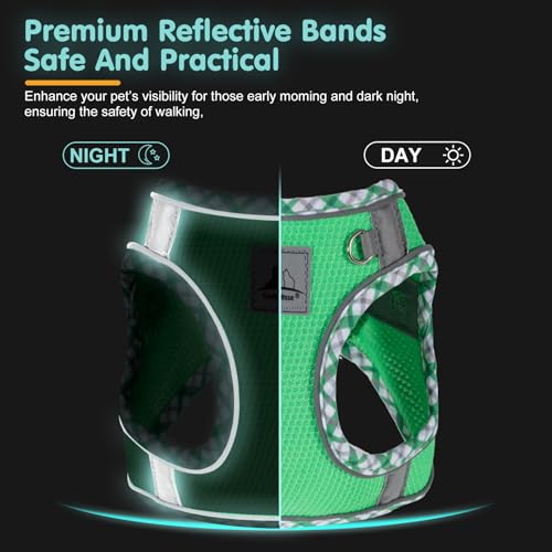 TomteNisse Dog Harness and Leash Set, No Pull Pet Harness for Small Dogs Easy Walking,Soft Breathable Small Dog Harness,Ad...