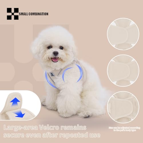SMALL COMBINATION Adjustable Dog Harness with Leash, Reflective Mesh, No-Pull Design，Matching Lead Rope (Cream-Coloured, S)