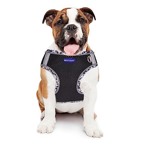 BTDCFY Step-in Mesh Dog Harness and Leash Set, Breathable Air Mesh, Reflective, Escape Proof, No Choke, Lightweight, Blac...