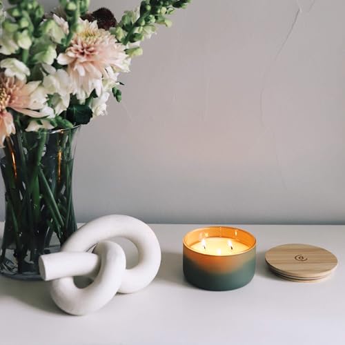 Calyan Wax Co. Evergreen & Eucalyptu 3 Wick Scented Candle - 30 Hour Burn - Luxury 3 Wick Soy Candles - Clean Soy Wax Cand...