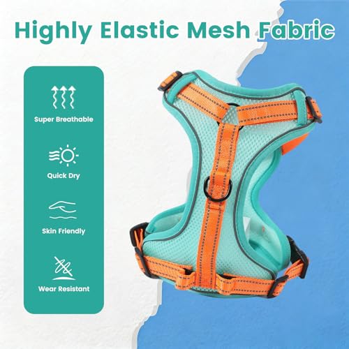 PAWDAY No-Pull Dog Harness with Dog Leash Breathable Mesh Adjustable Soft Padded Pet Vest Reflective for Small/Medium/Larg...
