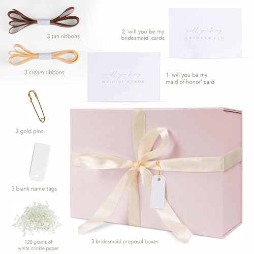 iPassion Gift Box Set - Bridesmaids Gifts for Wedding (3 Pack - Blush Pink), All Occasions, Bridesmaid Proposal, Magnetic ...