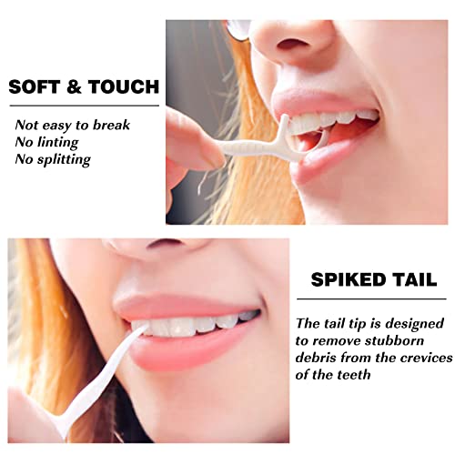 Dental Floss Portable Case, Storage 10 Picks Adult Floss in Box. The Best Tool for Cleaning Teeth and Oral Care. Portable ...