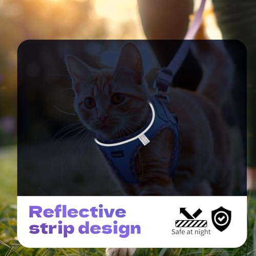 Rttochfy Cat Harness and Leash Set, Escape Proof Kitten Harness, Soft and Breathable Vest with Reflective Strip, Easy to W...