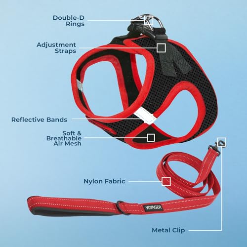Best Pet Supplies Voyager Step-in Air All Weather Mesh Harness and Reflective Dog 5ft Leash Combo with Neoprene Handle, fo...