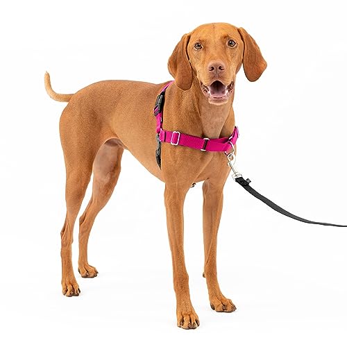 PetSafe Easy Walk Harness for Dogs - Pull-Free Walks - Patented Martingale Loop Design - Front Chest Leash Attachment - Ad...