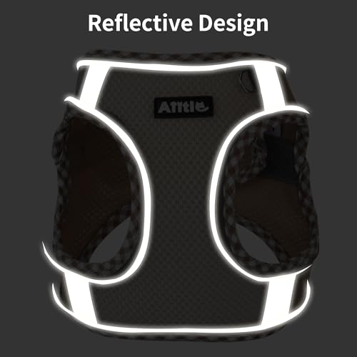 AIITLE XXS Dog Harness & Leash Set - Breathable Reflective No-Choke Small Dog Harness for Teacup Puppies, Indoor/Outdoor U...