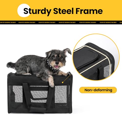 Conlun Cat Carrier Airline Approved, Soft-Sided Dog Carrier with Inner Safety Leash, Pet Transport Carrier for Small-Mediu...