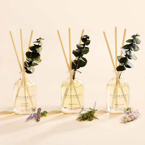 COCORRÍNA Eucalyptus Reed Diffuser Set of 3 - Lavender Eucalyptus, Black Forest, Clean Cotton Scents, 1.7 fl oz Each, Tota...
