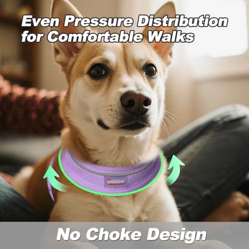 Dog Harness and Leash Set,Step in Small Sized Dog Harness,Soft Mesh,No-Chock,Reflective Adjustable,Secure with Hook & Loop...