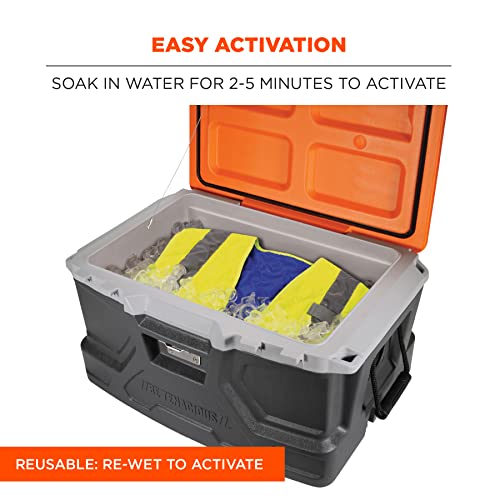 Ergodyne Chill Its 6668 Lightweight Cooling Safety Vest, High Visibility Reflective Type R, Class 2