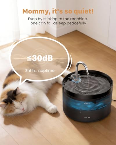 Cat Water Fountain: Dog Bowl Fountains - Automatic Pet Dispenser - Dogs Drinking Waterer Bowls Indoor - Auto Watering Dish...