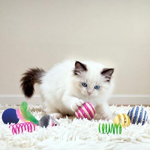 AGYM Cat Toys for Indoor Cats, 35 Packs Interactive Cat Toys Set with Colorful Springs, Mouse Cat Toy, Crinkle, Sisal, Pom...