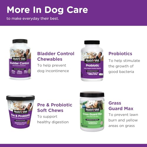 Nutri-Vet Anti-Diarrhea Liquid for Dogs and Puppies, Puppy Supplements for Digestive Health, Dog Essentials for Gut Suppor...