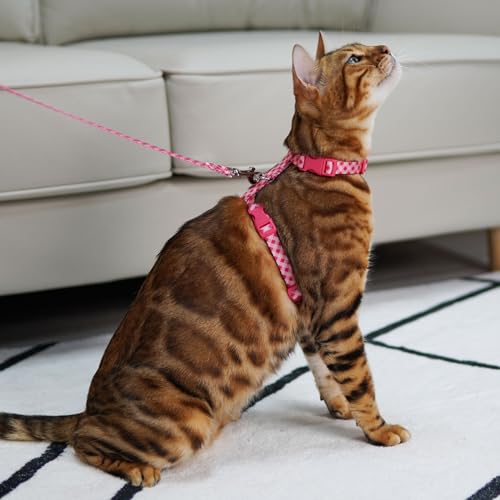 azuza Cat Harness and Leash Set for Safe Walking and Travel, Escape Proof Cat Harness, Lightweight Soft and Comfortable, A...