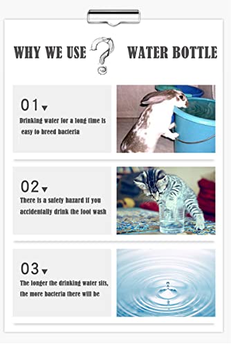 PStarD Moon Small Animals Water Bottle - Bunny, Hamster, Guinea Pig, Rabbit, Chinchilla, Gerbil, Groundhog, Squirrel (2.7 oz)