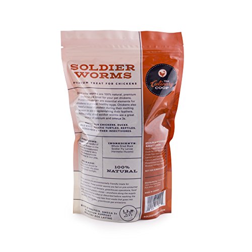 Fluker's Culinary Coop Premium Chicken Treats, Dried Soldier Worms, Packed with Protein and Calcium, 100% Natural Rich Gru...