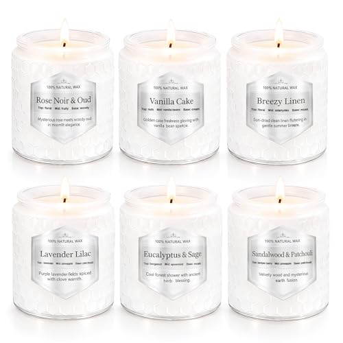 Scented Candles Gift Set for Women, 6 Pack Aromatherapy Soy Candles for Home, Long Lasting Decorative Jar Candles for Birt...