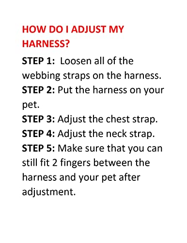Best Pet Supplies Voyager Step-in Air All Weather Mesh Harness and Reflective Dog 5ft Leash Combo with Neoprene Handle, fo...
