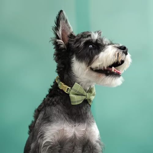 Beirui Cute Extra Small Dog Harness Collar and Leash Set with Bowtie, Soft Adjustable Plaid Puppy Harness for Small Sized ...