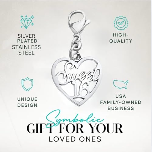 Infinity Collection Sweet 16 Clip-On Charms for Bracelets, Backpacks & Zippers – Stainless Steel Heart or Crown Design – E...