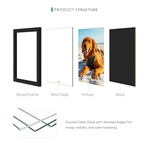DUENPY 4x6 Collage Picture Frames, 12-Pack Solid Wood Photo Frame, Picture Frames Collage Wall Decor, Set with Glass Fron...