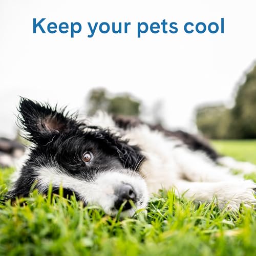 The Green Pet Shop Cool Pet Pad - Extra Small, Blue - Self-Cooling, Pressure Activated Mat for Dogs & Cats from 0-8 lbs - ...