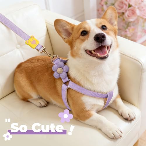 PETCARE Cute Flower Dog Harness and Bowtie Leash Set Easy Walk Puppy Dog Halter Harness for Small Dogs Girl Step in Dogs H...