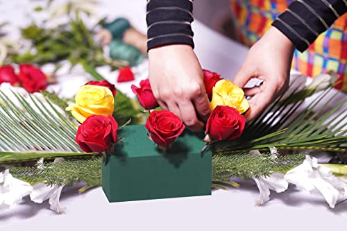FLOFARE Dry and Wet Large Floral Foam Blocks for Fresh and Artificial Flowers, for Wedding, Birthdays, Home, Office, and G...