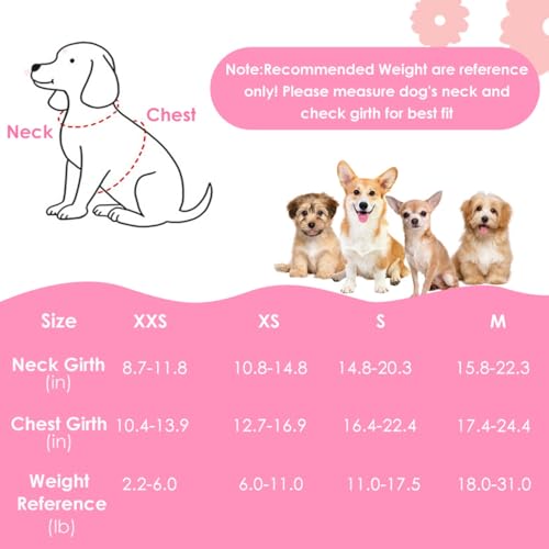 SlowTon Small Dog Harness - No Pull Dog Harness and Leash Set, Soft Mesh Lightweight Puppy Vest Harnesses, Adjustable Pet ...