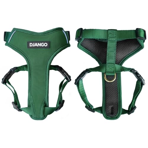 DJANGO Adventure Dog Harness - Stylish and Durable Medium Dog Harness for Outdoor Adventures and Everyday Wear - Forest Gr...