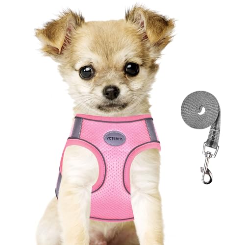 Small Dog Harness and Leash Set, Step-in Puppy Vest with Breathable Soft Padded Mesh, Walking Reflective Pet Harness for S...