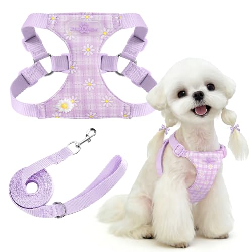 PETCARE Cute Small Dog Harness and Leash Set Purple Floral Daisy Puppy Harness Vest Adjustable Step in Spring Summer Soft ...