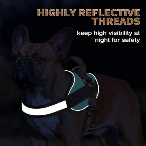 Haapaw Essential Dog Harness, No Pull Pet Vest with 3 Leash Clips, No Choke, Reflective, Adjustable and Padded, for Easy W...