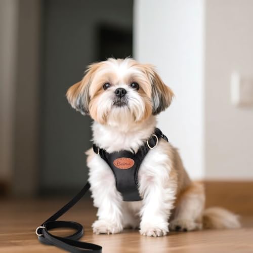 Beirui ‌Stylish PU Leather Dog Harness‌ and Leash Set for Small Dogs, ‌Adjustable Step in Puppy Harness with Breathable Me...