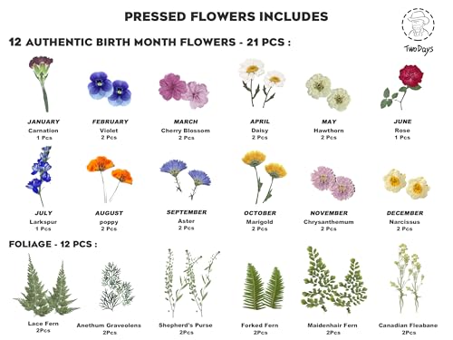 Twodays Birth Flower Mother's Day Craft Kit for Mom/Grandma - 33 Real Pressed Flowers Art DIY Set, With 8x10 Double Glass ...