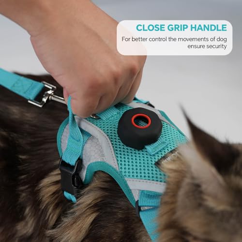 Cat Harness and Leash Set with AirTag Holder: Upgraded Escape Proof Vest with Lead for Small Dog Puppy Large Cat Walking，S...
