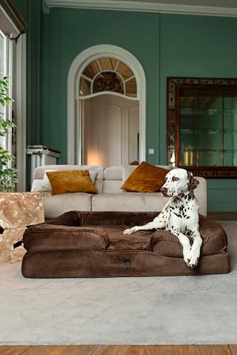 NOAH & PAW XL Dog Bed, 45x35x11 Inch, Orthopedic Large Dog Beds, Eggshell Memory Foam Infused with Cooling Gel, Inner Cove...
