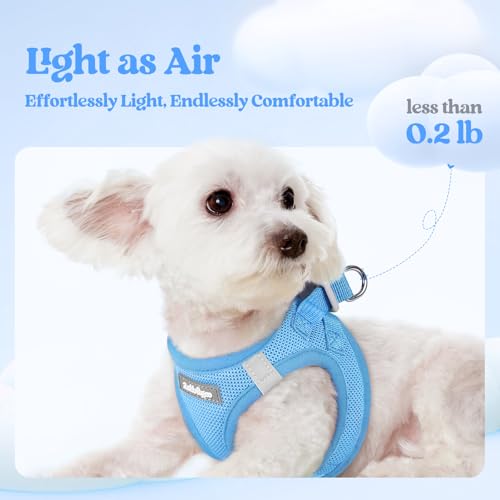 rabbitgoo Dog Harness Small Sized and Leash Set, Step in Soft Light Puppy Vest, Breathable Mesh Pet Harness, Reflective fo...