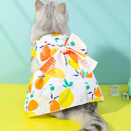 Small Dog Harness Dress Cat Princess Dresses Summer Lemon Clothes for Pet Female Puppy Outfit Cute Bow Tie Leash Set for S...