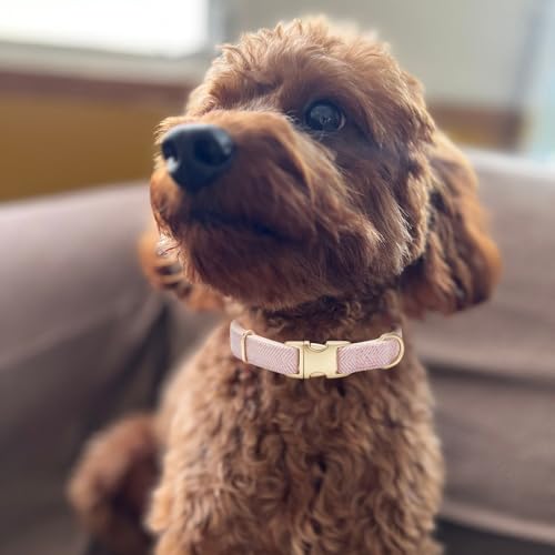 Ewinoom Soft Dog Collar and Leash Set Adjustable Woven Tweed Dog Collars with Metal Buckle and Lead for Small Medium Large...