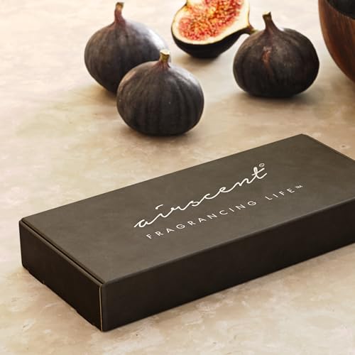 AirScent Hotel Diffuser Oil Gift Set - Buyers’ Best Picks - 10 mL, 0.34 fl oz Hotel Fragrance Oil Gift Set - Inspired by t...