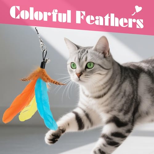 SONGWAY Cat Wand Toys for Indoor Cats - Cat Toy Set with Retractable Teaser Wand and 6 PCS Colorful Large Feather Toy Refi...