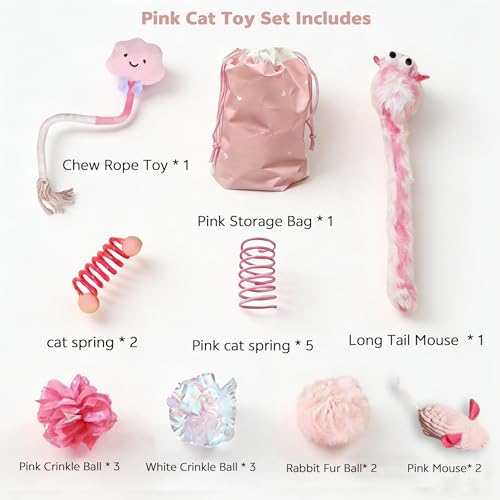 AINTE 20 Pcs Cat Toy Pack Interactive Kitten Toy Set,Including Cute Catnip Chew Rope Springs Mice Crinkle Ball Furry Balls...